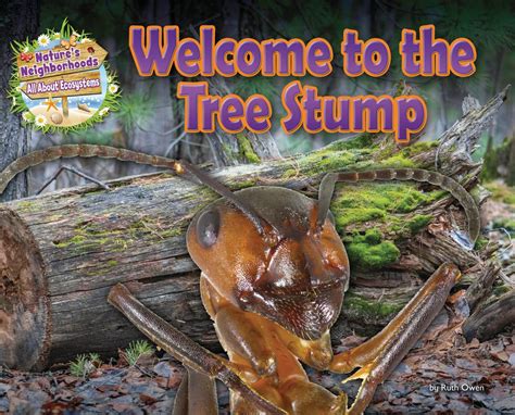 Welcome to the Tree Stump (Nature's Neighborhoods: All About Ecosystems ...