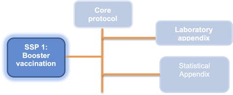 Program PicoBoo 的图像结果