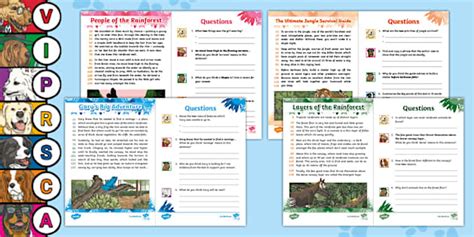 LKS2 60-Second Reads: Rainforests Activity Pack
