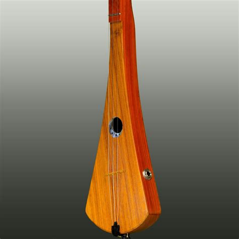 D-33 Spruce with Pickup - Strumstick.com