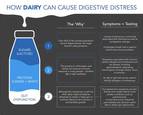 Why Dairy Might be Causing Your Digestive Distress