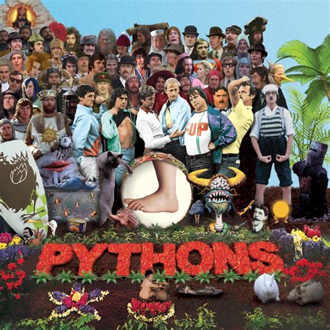 Image result for Monty Python Beans