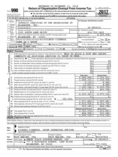 Form 990 2017 - Fill Out, Sign & Share Online | pdfFiller