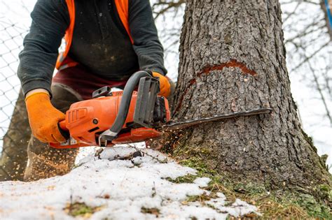 Image result for Chainsaw Tree Fall