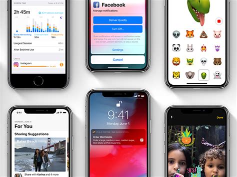 Image result for iOS 12 App