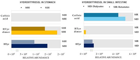 Availability and Metabolic Fate of Olive Phenolic Alcohols ...
