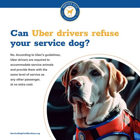 Are Dogs Allowed In Uber