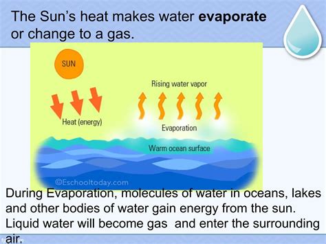 water cycle ppt.ppt water in atmosphere grade 6 science elevate | PPT
