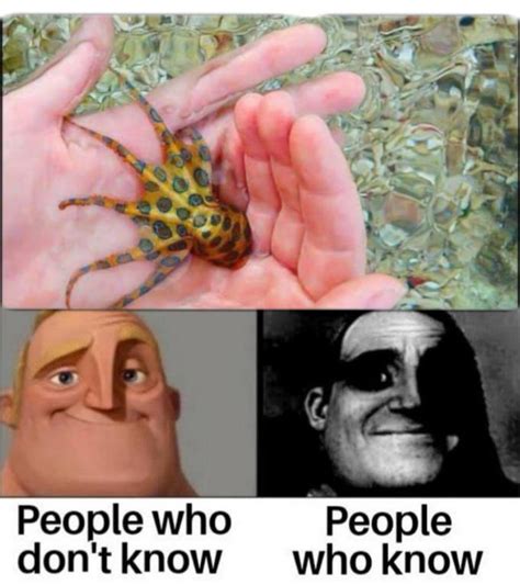 HowToBasic Meme 的图像结果