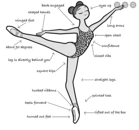 Dance Position in 2020 | Ballet terms, Ballet basics, Ballet technique