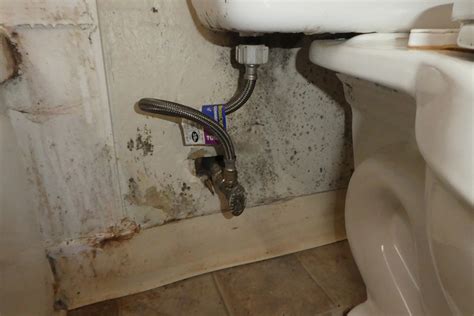 Image result for Mold Remediation Testing