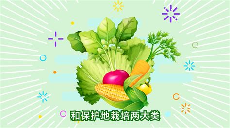 【三农词条】蔬菜栽培方式有哪些？_腾讯新闻
