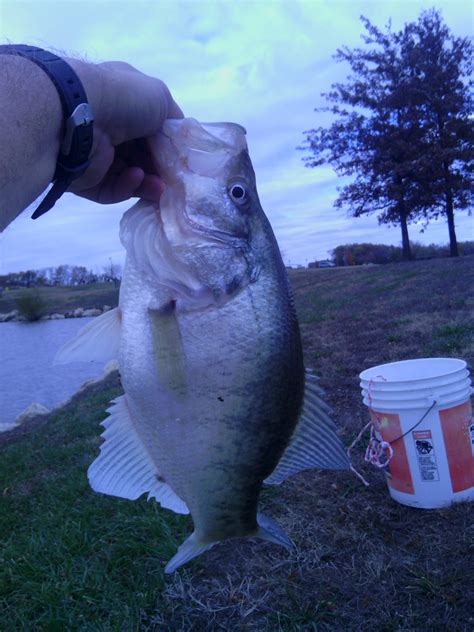 Kansas Fishing Report - Reports from Anglers