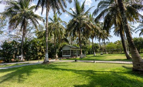 Photo Gallery | The Mangifera