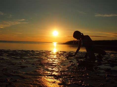 Black Swamp Cornucopia: First Encounter Beach, Cape Cod, Massachusetts