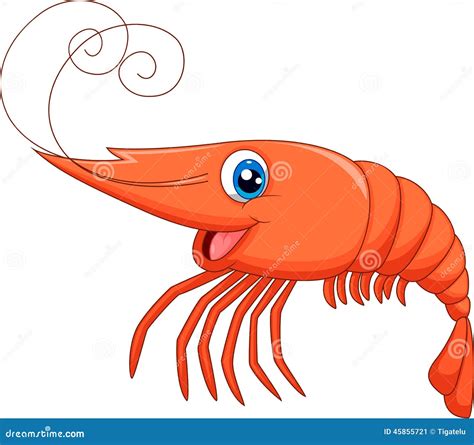 Cartoon Shrimp Vector Illustration | CartoonDealer.com #29888514