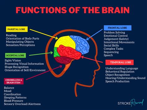 Pin on Brain Training