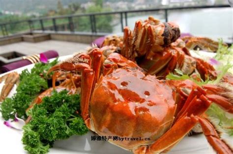 中国吃蟹地图：哪里的大闸蟹最好吃？_凤凰网