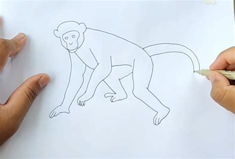 Image result for How to Draw a Simple Monkey