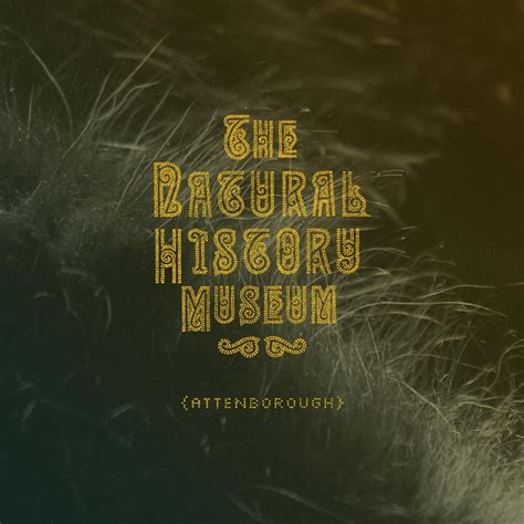 Australopithecus Song 的图像结果