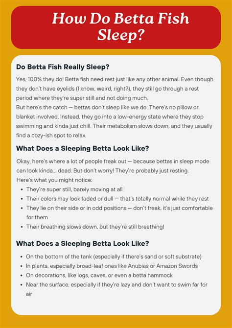 How Do Betta Fish Sleep? (Detailed 2025)