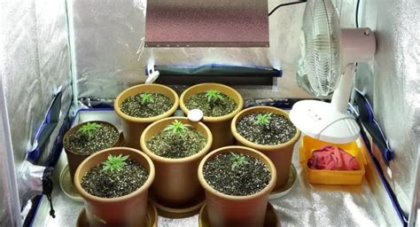Image result for Humidity Grow Tent