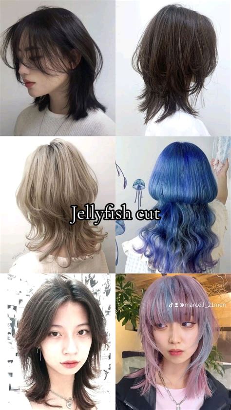 Jellyfish Cut | Hairstyle names, Pretty hair color, Hair inspiration short