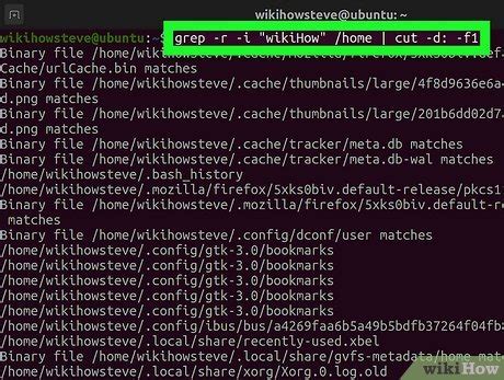 Image result for Linux Search File