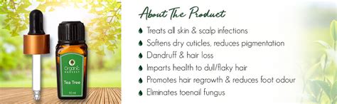 Organic Harvest Combo of Tea Tree & Lemon Essential Oil, For Face ...