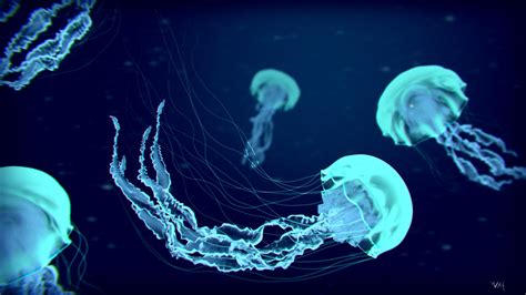 Jellyfish Desktop Wallpapers - Top Free Jellyfish Desktop Backgrounds - WallpaperAccess