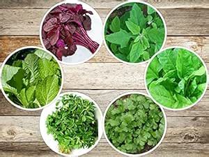 OL Seeds - 6 (Spinach, Coriander, Fenugreek, amaranth, Bathua, Mustard ...