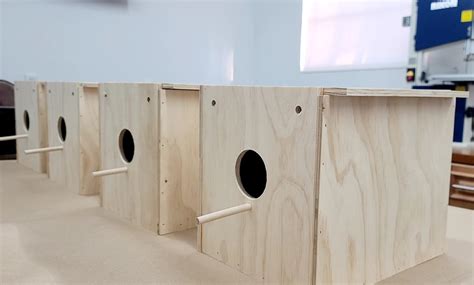 Image result for Cornell Nesting Box Plans