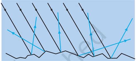 SATHEE: Chapter 13 Light