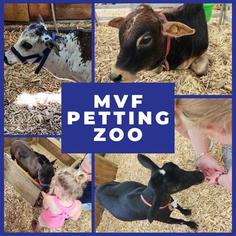 Mississippi Valley Fairgrounds | 🐐🌟 Don't forget to visit the petting ...