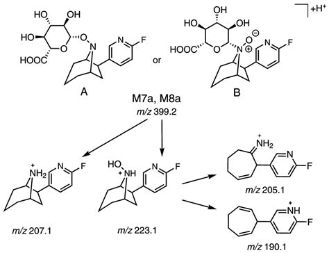 Exploring the Metabolism of (+)-[18F]Flubatine In Vitro and In Vivo: LC ...