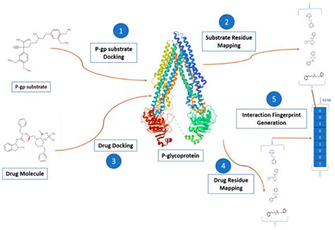 Pharmacophore Modeling Using Machine Learning for Screening the Blood ...