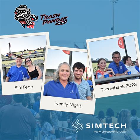 Simulation Tech Inc 的图像结果