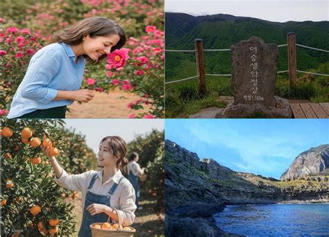 Jeju Private Car Charter with Local Expert Driver-Guide - Klook India