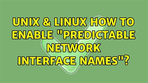 Image result for Predictable Network Interface Names
