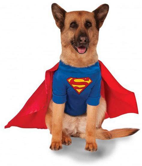 The Superman Dog Costume in 3 Sizes for Your Adorable Pup!