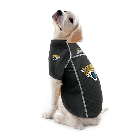 defeat Guinness Can't read or write bruins dog jersey Thorny ...