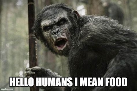 Image result for Hello Its MeMeMe