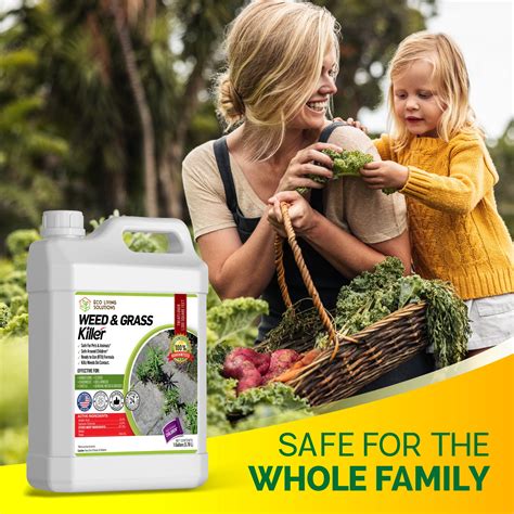 Best Organic Weed Killers - Eco Living Solutions Pet Safe Weed Killers ...