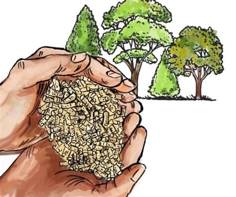 Actual prices of fuel pellets on the Polish market in the first quarter ...