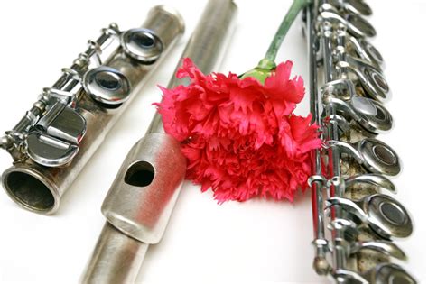 Image result for Flute Stringed Instruments