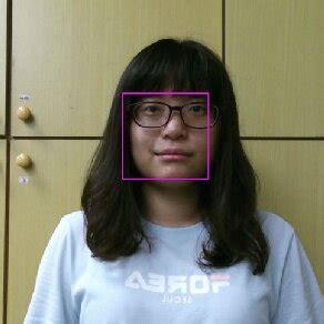 Image result for Face Tracking Algorithm