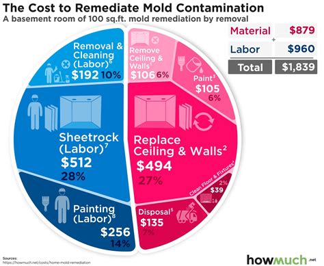 Cost Of Bathroom Mold Remediation at Petra Webster blog