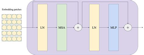 Image result for Vision Transformer Encoder/Decoder