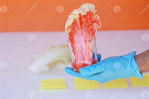 Image result for Science Lesson Activity Photo