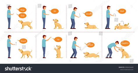 Image result for Hand Commands for Dogs